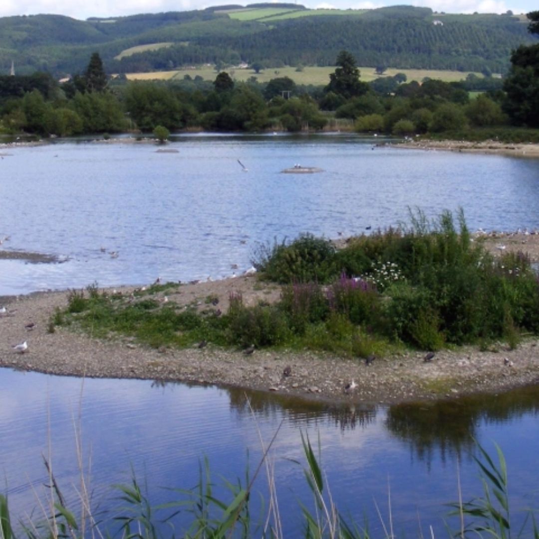 Llyn Coed y Dinas Nature Reserve