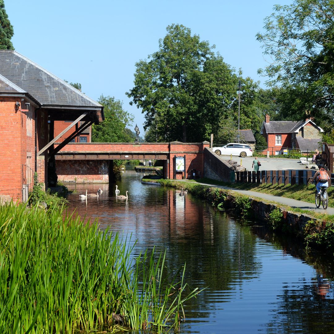 Fishing in the Montgomery Canal